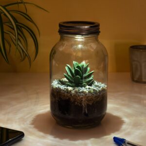 Lichtgevend Terrarium