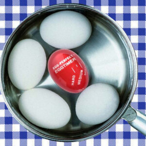 Foolproof EggTimer