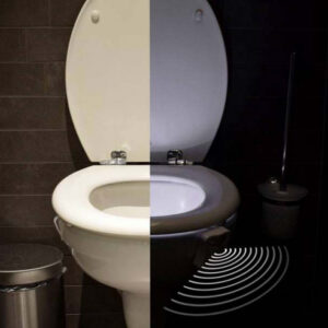 Led Toilet Light