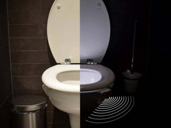Led Toilet Light