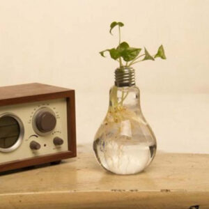 Gloeilamp Vaas (Set van 6)