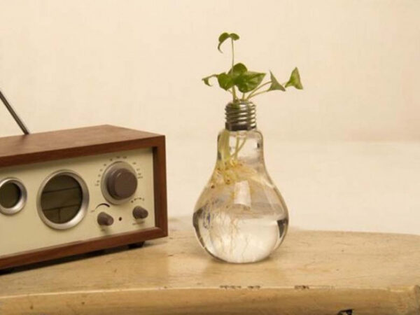 Gloeilamp Vaas (Set van 6)