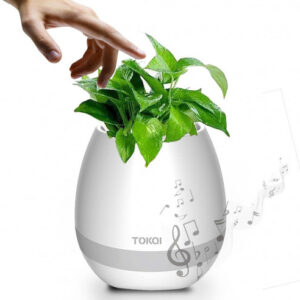 Magische Muzikale Bloempot