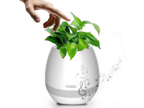 Magische Muzikale Bloempot