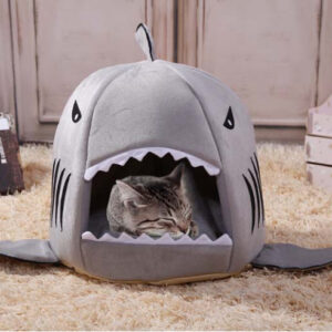 Haai Kattenmand