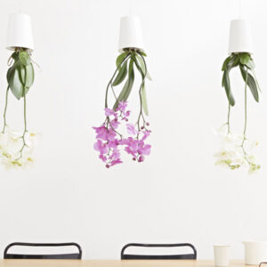 Sky Planter Recycled
