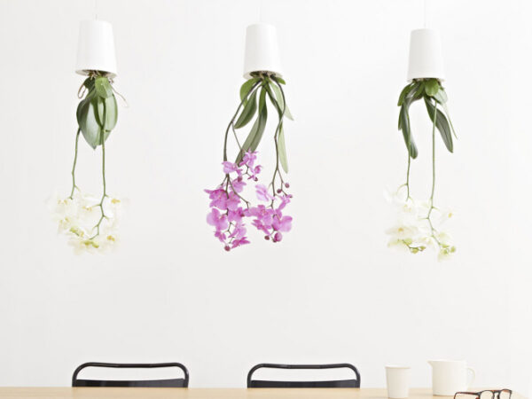 Sky Planter Recycled