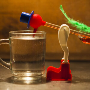 The Infamous Drinking Bird