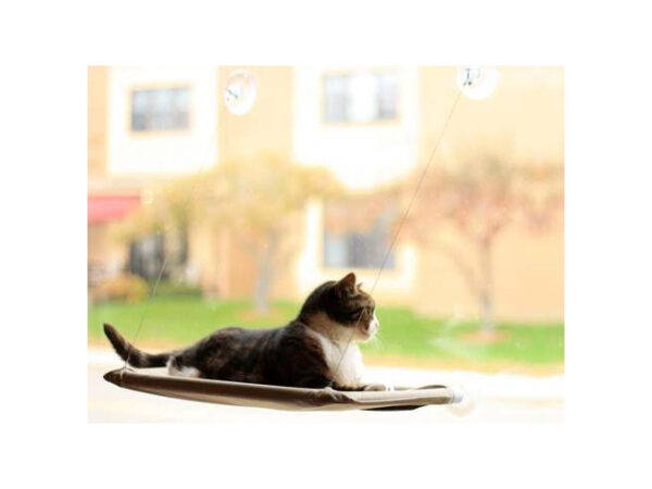 Kattenbed Voor Aan Het Raam
