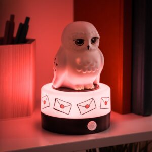 Harry Potter Hedwig kameralarm