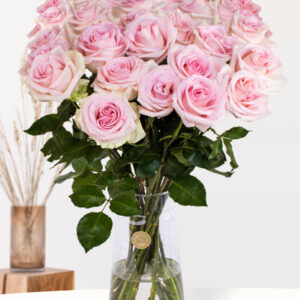 10, 20 of 30 zachtroze rozen - Sweet Revival