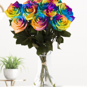 10 regenboog rozen - XL rozen