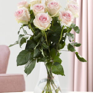 10 zachtroze rozen - XL rozen - Sweet Revival