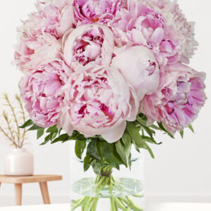 10 zachtroze pioenrozen - Sarah Bernhardt