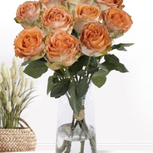 10 zalmkleurige rozen uit Ecuador