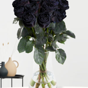10 zwarte rozen - XL rozen