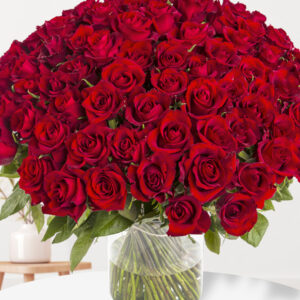 100 rode rozen - XL rozen - EverRed