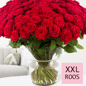 100 tot en met 499 rode rozen - XXL rozen - Red Naomi
