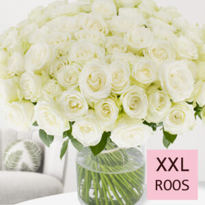 100 witte rozen - XL rozen - Snowstorm