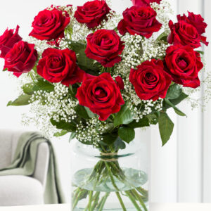 15 rode rozen met gipskruid - XXL rozen
