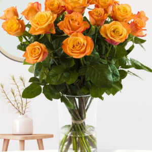 20 oranje rozen - Confidential