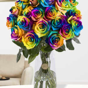 20 regenboog rozen - XL rozen