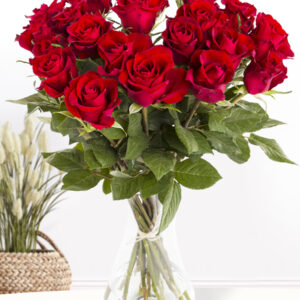 20 rode rozen - XL rozen - EverRed