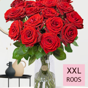 20 rode rozen - XXL rozen - Red Bentley