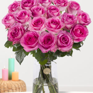 20 roze rozen - Revival - XL rozen