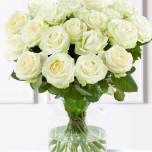 20 witte rozen XL - Avalanche
