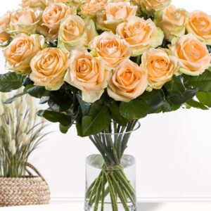20 zalmkleurige rozen - XL rozen - Avalanche Peach