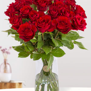25 rode rozen XL - EverRed