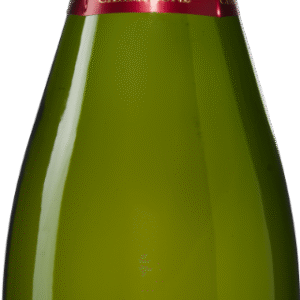 1 fles Georges Clément Champagne Brut