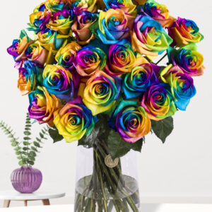 30 regenboog rozen - XL rozen