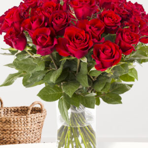 30 rode rozen - XL rozen - EverRed