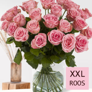 30 roze rozen XXL - Sophia Loren