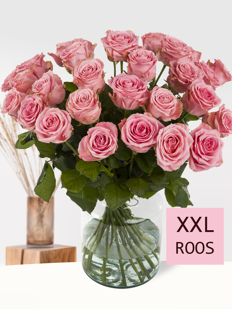 30 roze rozen XXL - Sophia Loren 1 30 roze rozen XXL - Sophia Loren