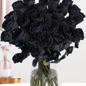 30 zwarte rozen - XL rozen