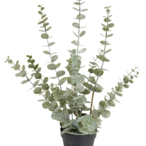 Eucalypthus kunstplant H 57cm x B 33cm