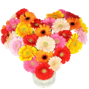 Hart boeket gerberas ca. 41 cm doorsnede