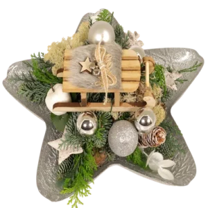 Ster kerststuk in zilveren glazen ster