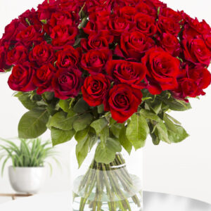 50 rode rozen - XL rozen - EverRed
