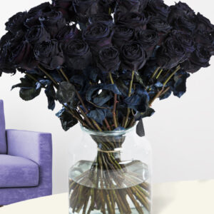 50 zwarte rozen - XL rozen