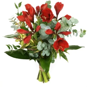 Kerstboeket rode Amaryllissen