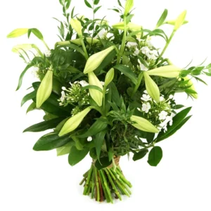 Schoonheid van bloemen witte lelie's