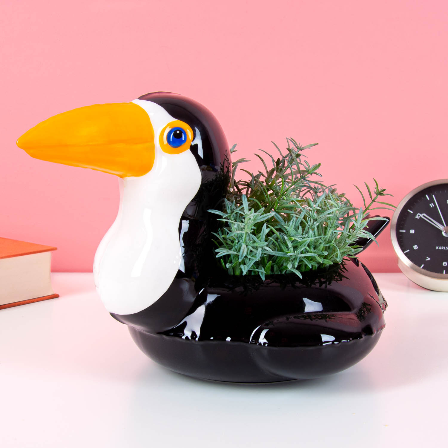 Toekan zwemband potje 1 Toekan zwemband potje