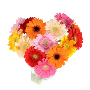Hart boeket gerberas ca. 25 cm doorsnede