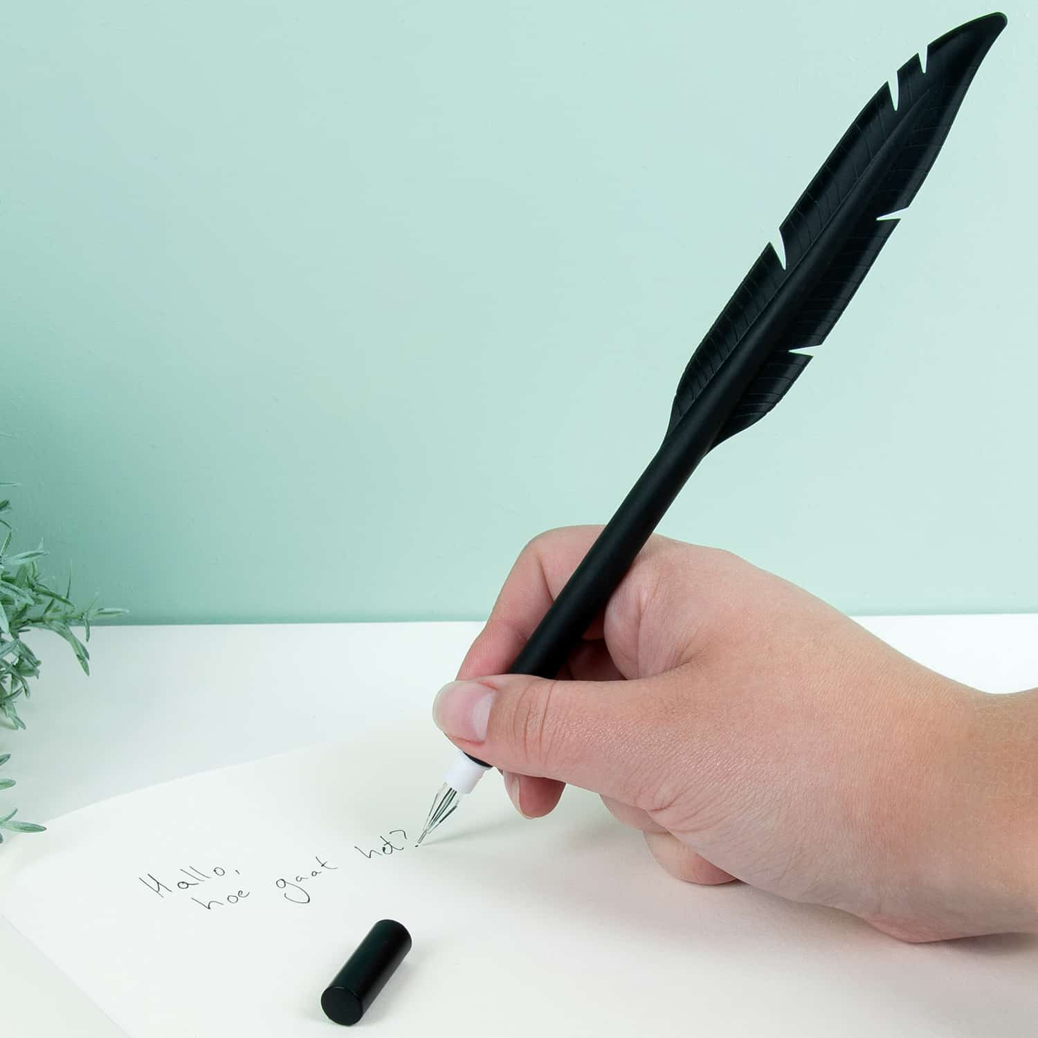 Veer Pen (Assorti) 1 Veer Pen (Assorti)