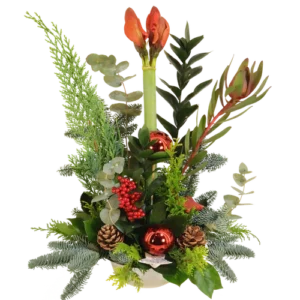 Kerststuk met 1 Amaryllis ca. 60 cm hoog