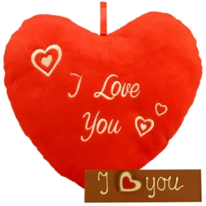 Kussenhart I love you + reep i love you